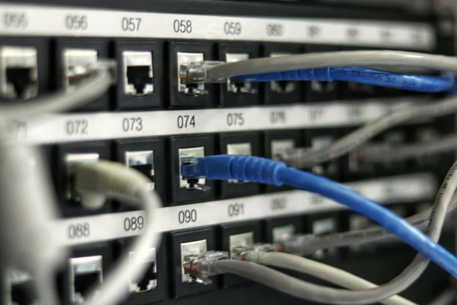 Network cables plugged into a server rack in close-up